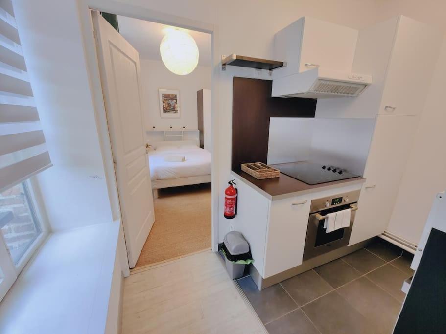 Appartement Lumineux Et Calme Parking Gratuit Lille Eksteriør billede