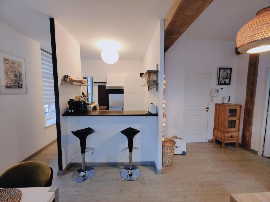 Appartement Lumineux Et Calme Parking Gratuit Lille Eksteriør billede
